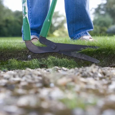 09279ef3-4be3-4262-a778-97aa3135