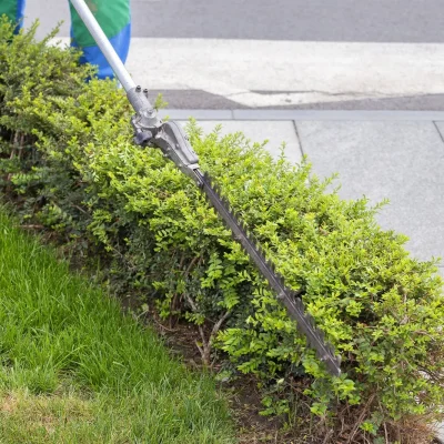 868317f5-b1c4-44b2-a617-0a040855